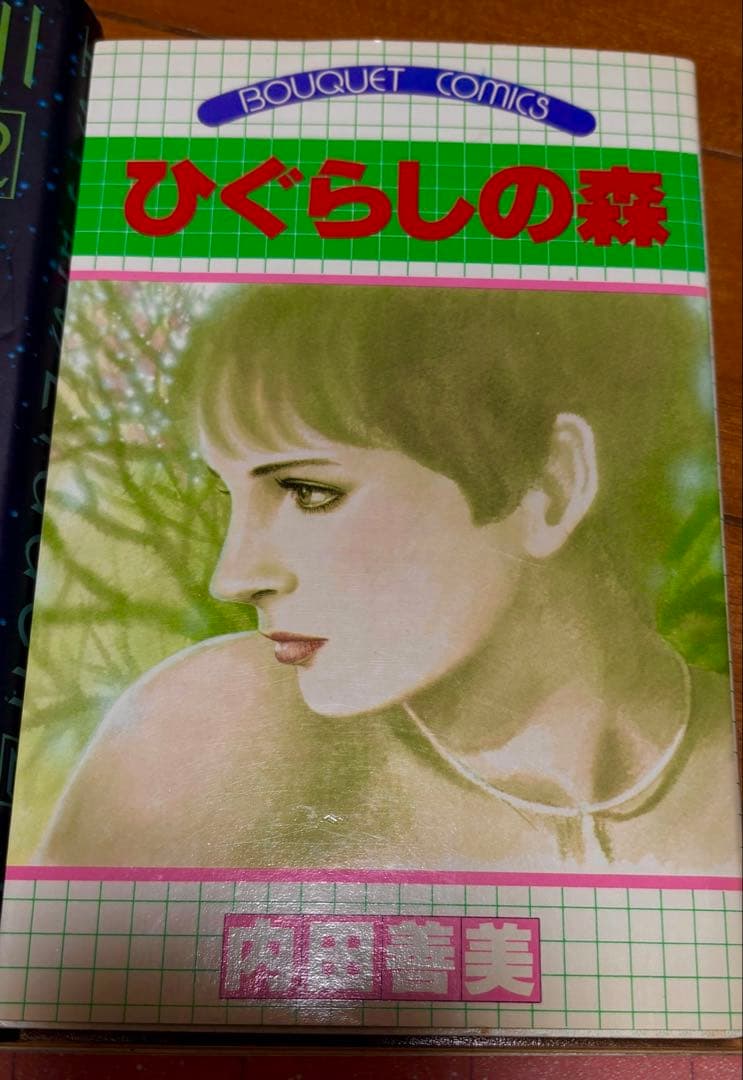 内田善美　絶版品！ 草迷宮、草空間。星の時計のリデル ぶーけセレクション他