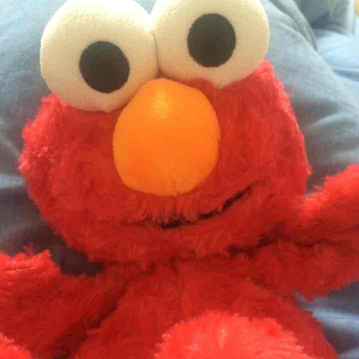エルモのぬいぐるみ