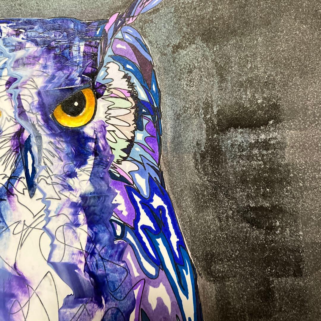 ミミズク　絵画　イラスト　ドローイング