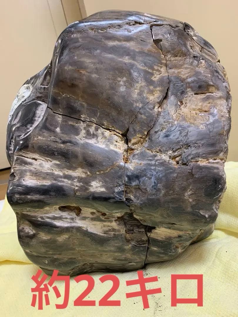 珪化石 木の化石 木化石 鑑賞置物 現状品 ジャンク品