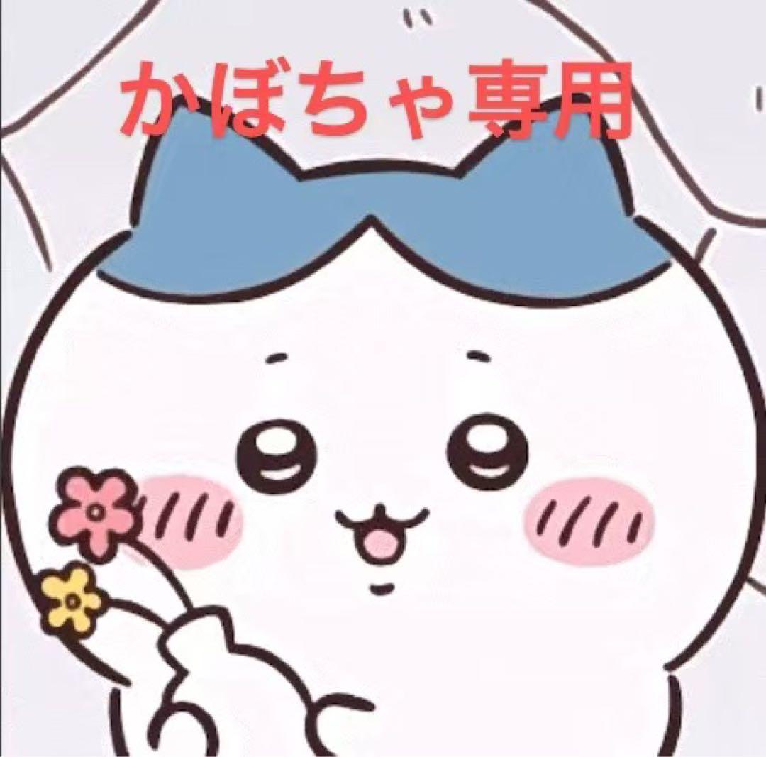 かぼちゃ専用):