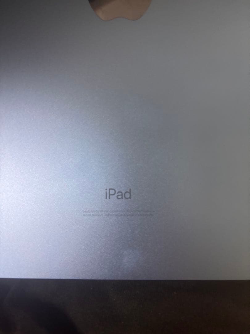 【バッテリー容量100%】iPad 第10世代 64GB ブルー 外箱なし