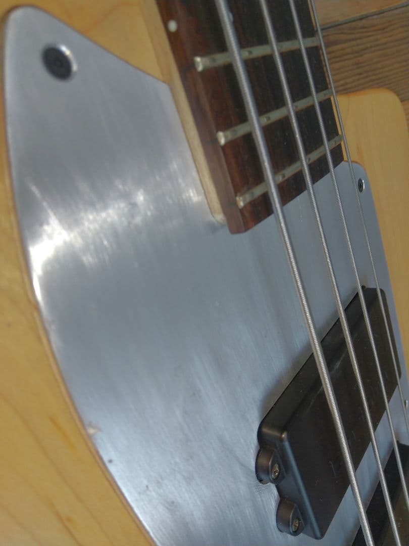 ベース tig tuned bass Selva SEB2020sp