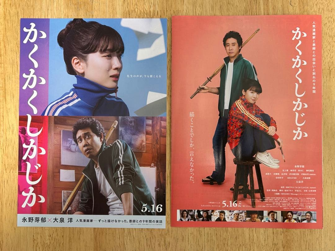 映画チラシ　フライヤー　組み合わせ 枚数増減 相談可