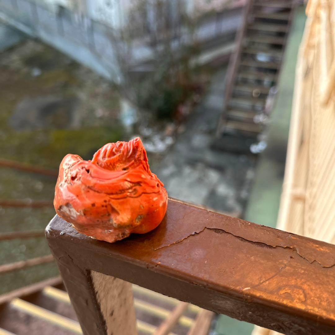 赤珊瑚　根付　大名　根付　龍