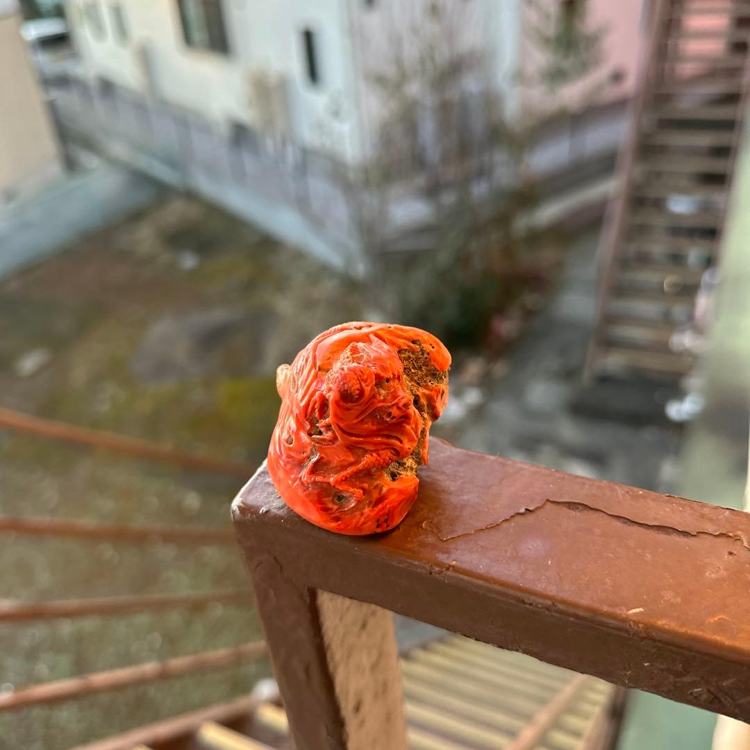赤珊瑚　根付　大名　根付　龍
