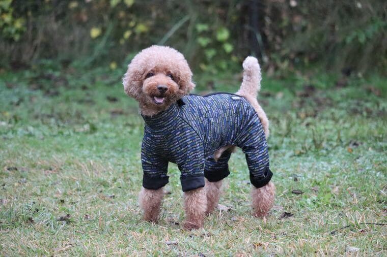 ブラックブルーThePoleOverall Ratia サイズM