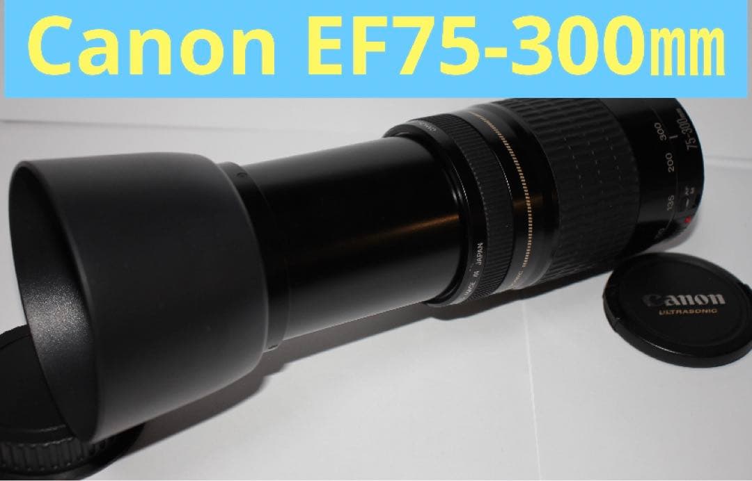 望遠レンズ/フード付き/CANON EF 75-300㎜ F4-5.6