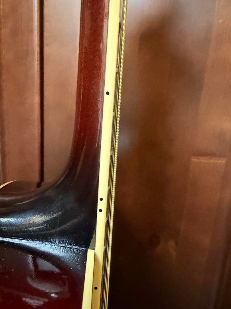 ギター stringphoonic LeRoy Oval