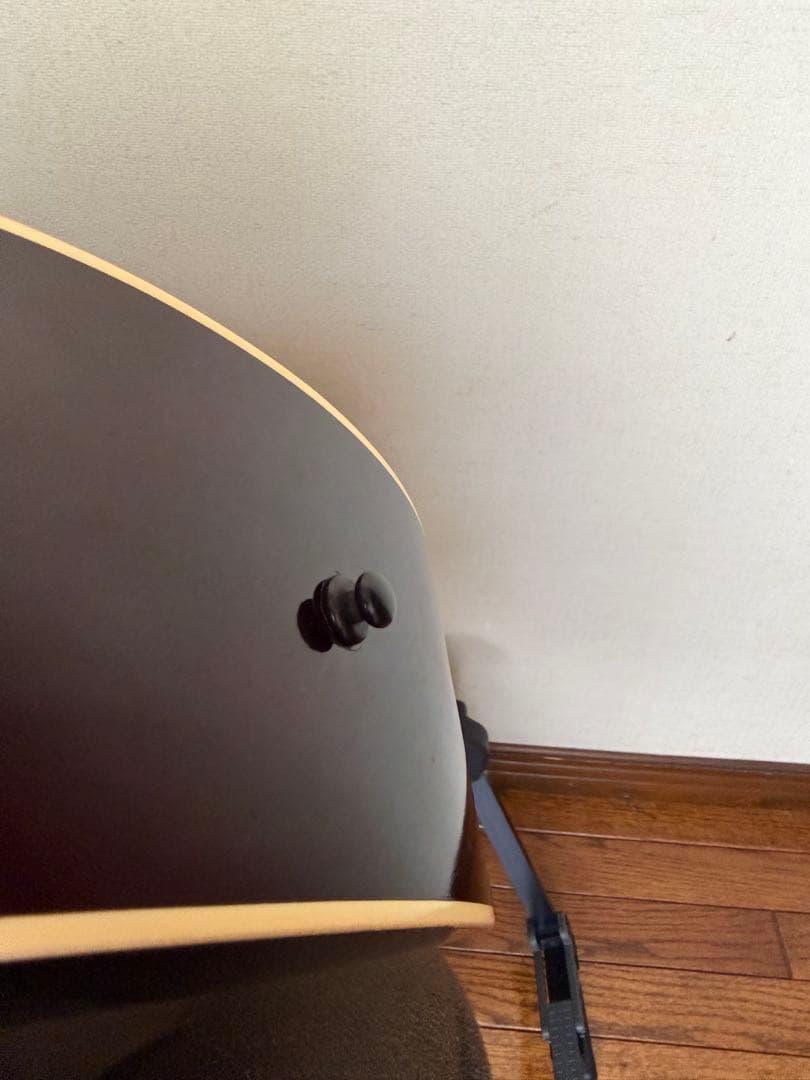 ギター stringphoonic LeRoy Oval