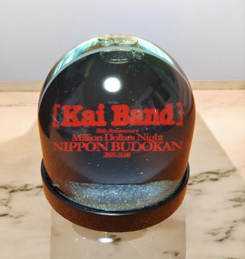 【限定・非売品】甲斐バンド 武道館 VIP特典 スノードーム