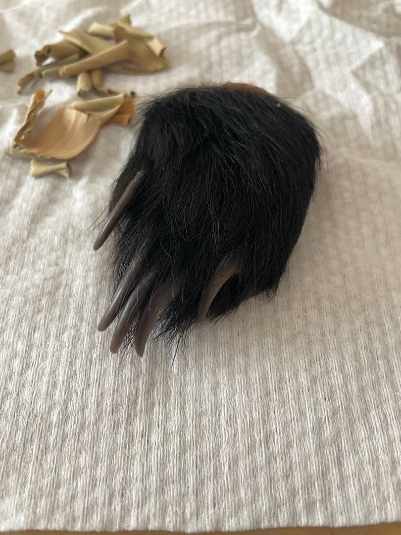 子熊の手/手芸/素材/魔除け/お守り/厄除け/置物/剥製