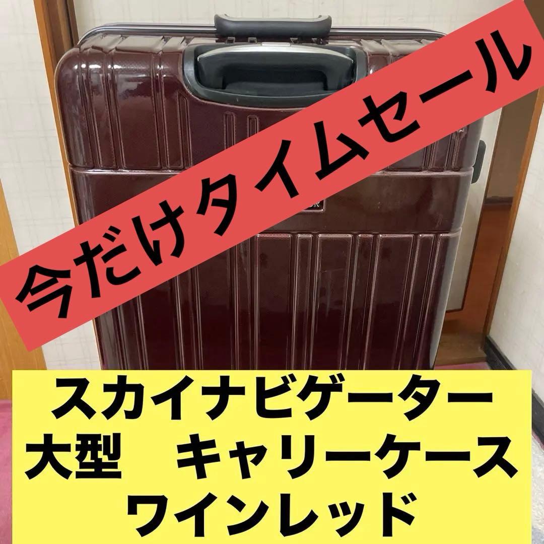 早い者勝ち　大型 Skynavigator スカイナビゲーター キャリーケース
