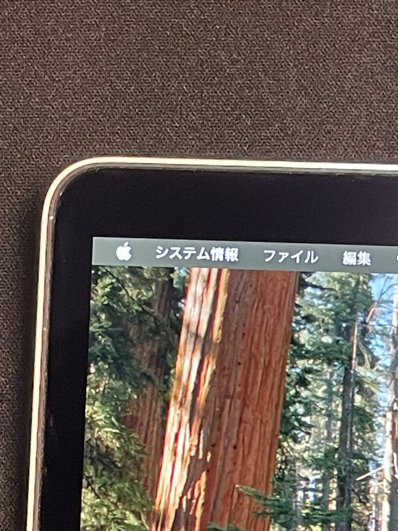 MacBook本体 Apple MacBook Air 2020 256 GB 13-in