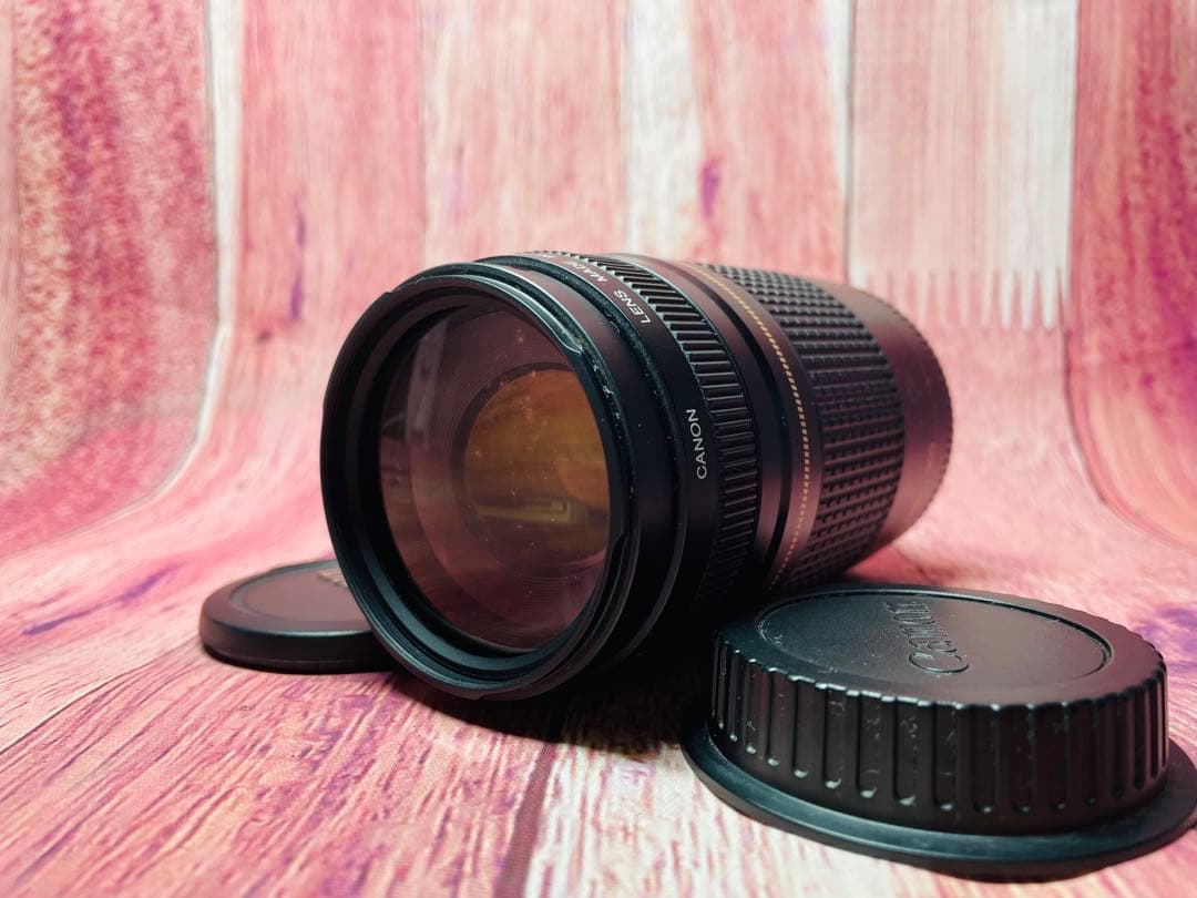 CANON キャノン EF 75-300mm 1:4-5.6 Ⅱ