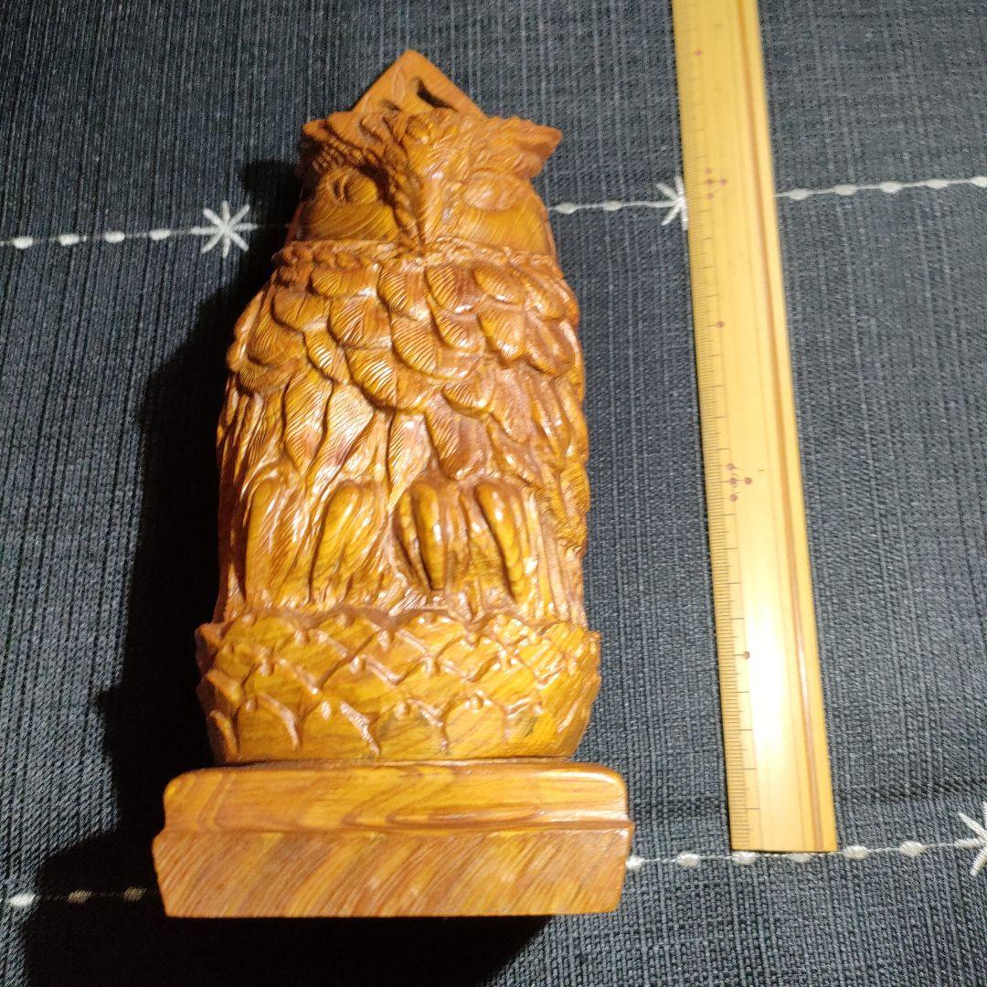 屋久杉　ふくろう