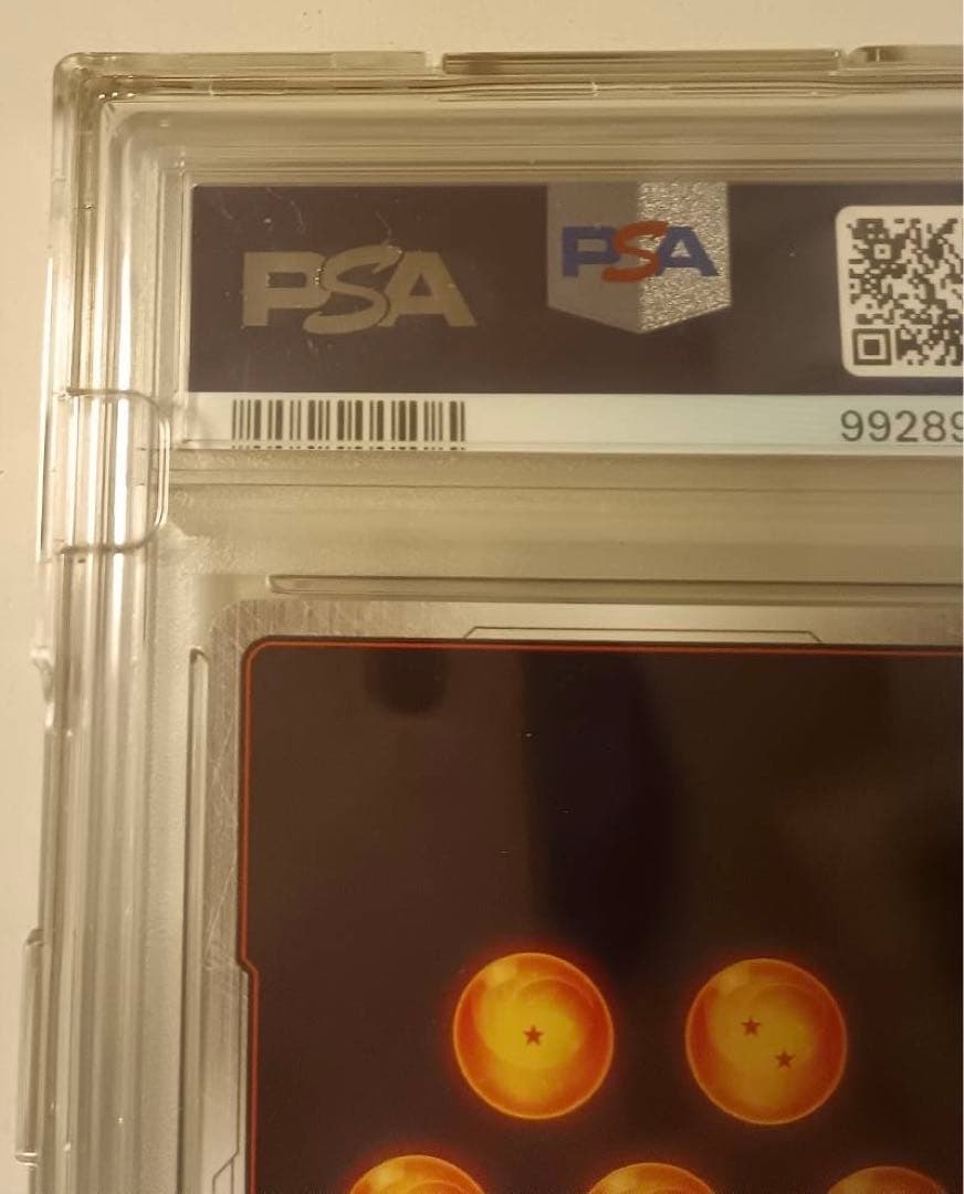 バーダック PSA10 チャンピオンシップ2024 DBS FSN WORLD