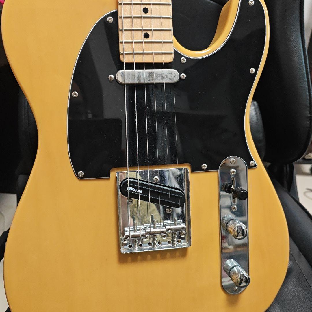 Bacchus BTE-400 ALD dimarzio交換済