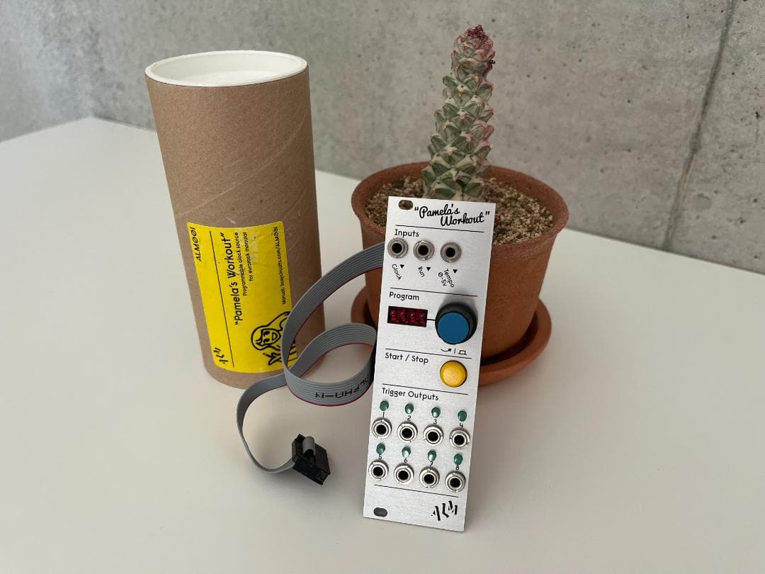 鍵盤楽器 Pamela's Workout - ALM Busy Circuits