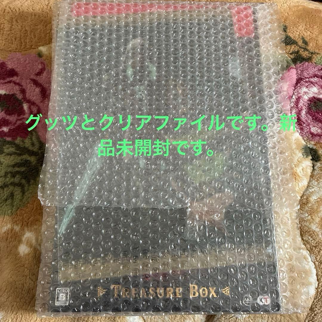 ゼルダ無双 封印戦記 TREASURE BOX グッズのみ　特典クリアファイル付