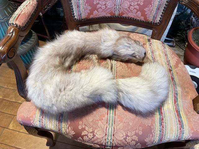 クリーム色のファーコート