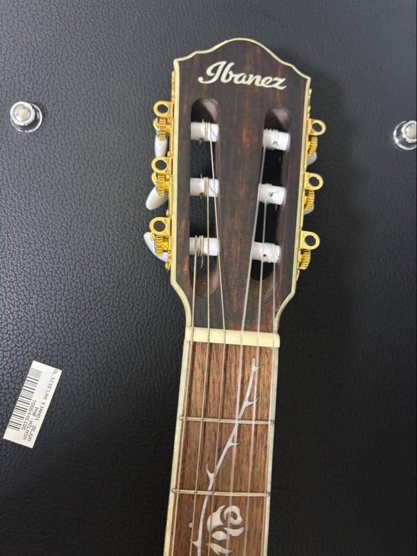 Ibanez TOD10N ティムヘンソンSignature ギター