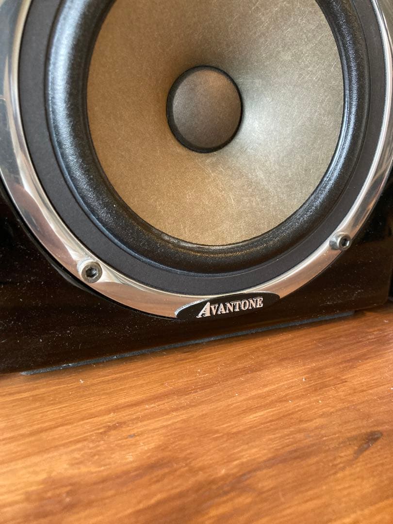 AVANTONE ACTIVE MIXCUBE ペア　115V昇圧機付き