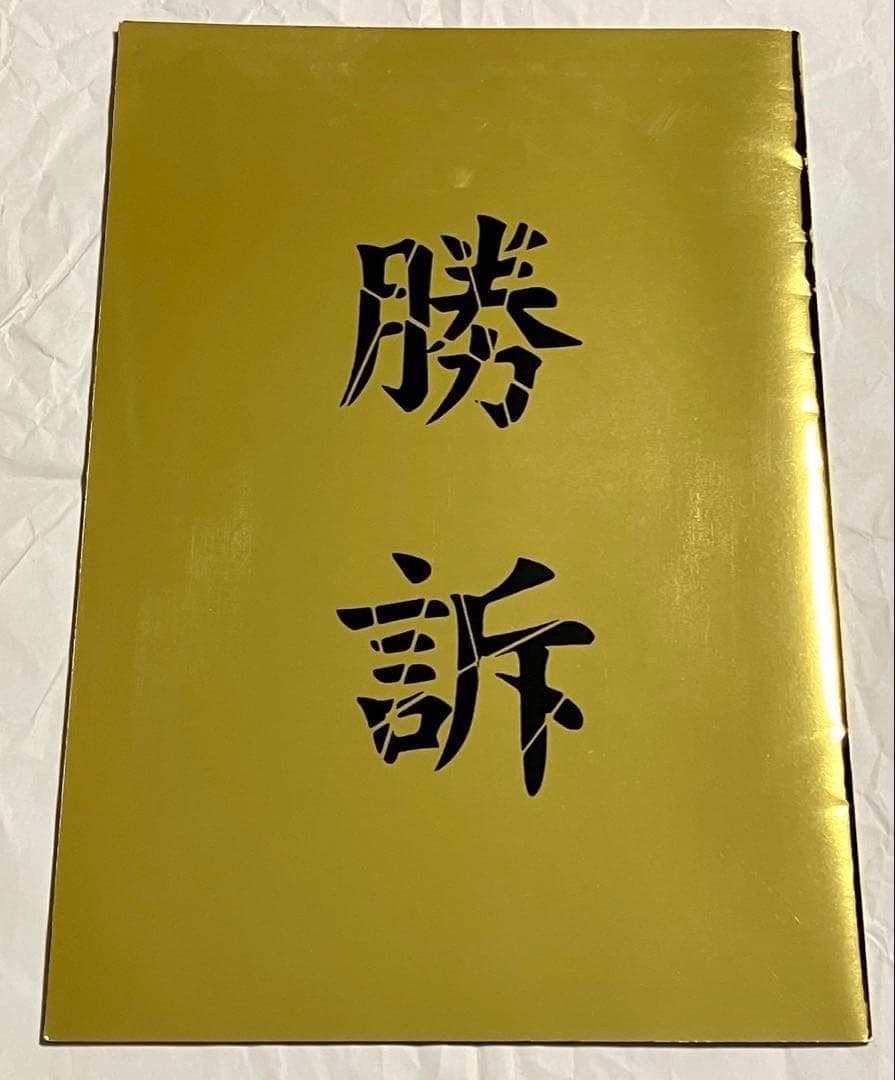 ガゼット 大日本異端芸者 パンフレット 会報 まとめ売り