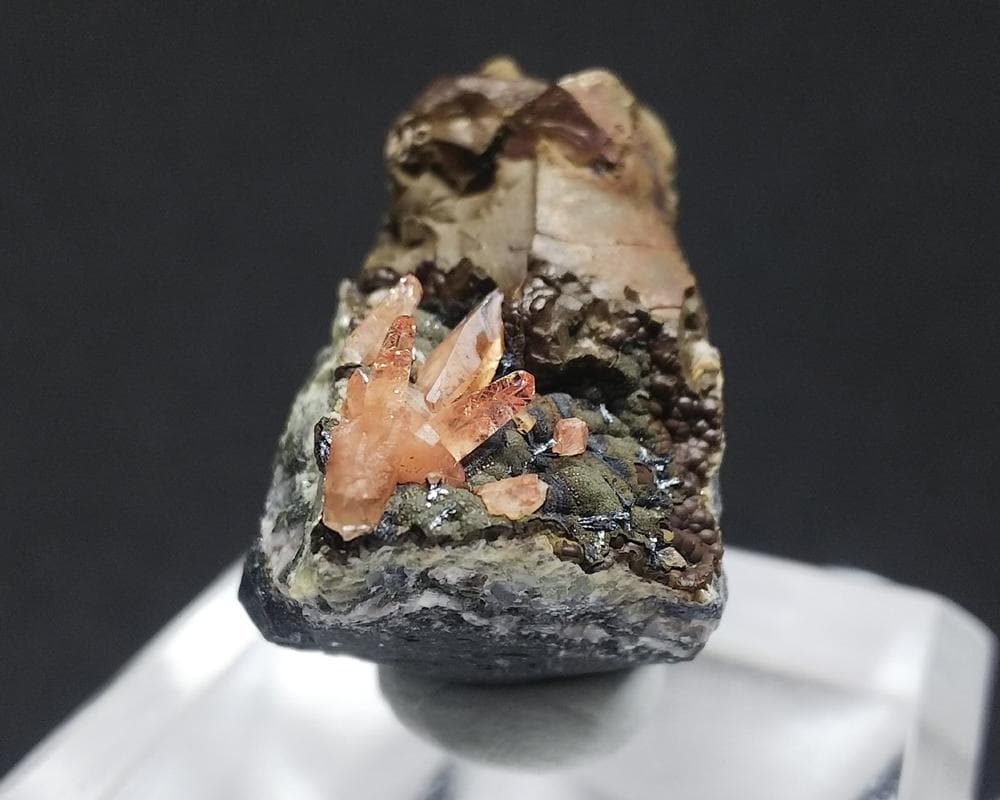 337 ロードクロサイト インカローズ 犬牙状 結晶 母岩付き