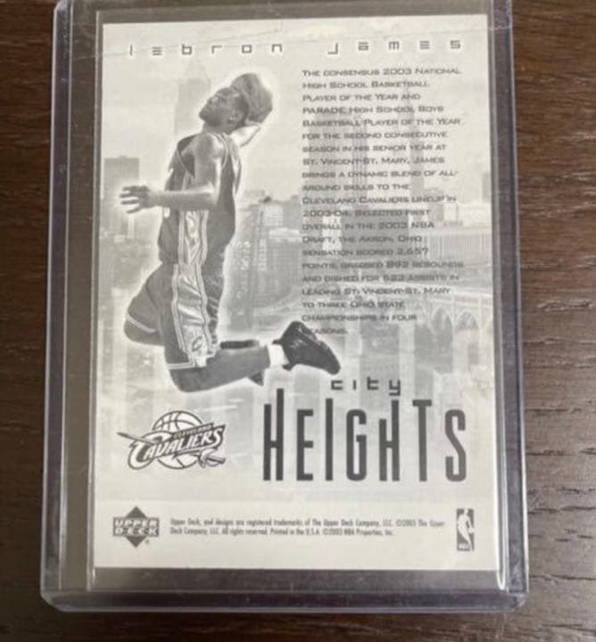レブロンジェームズ　ルーキーカード　3D