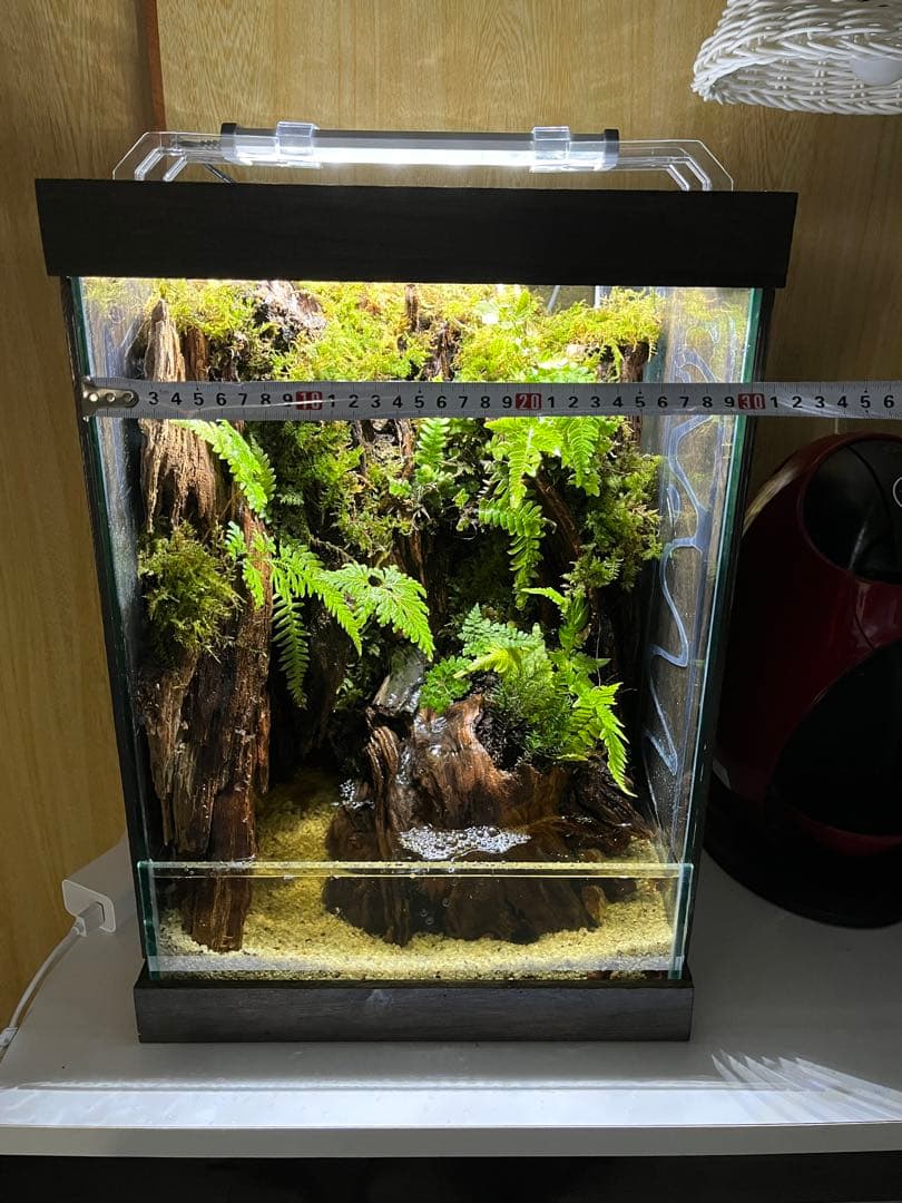 中型ガラス水槽 LEDライト付き