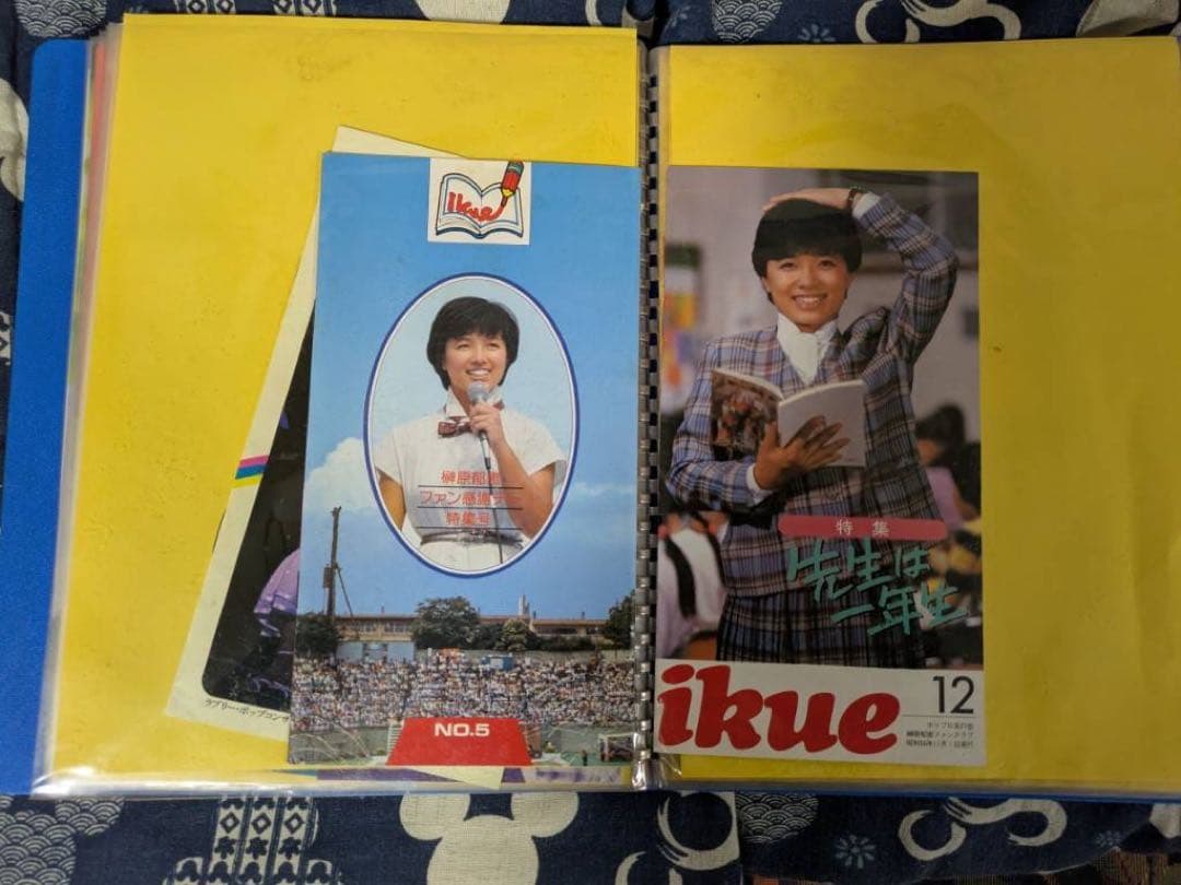 【貴重】榊原郁恵　パンフレット　グッズ　ブロマイド