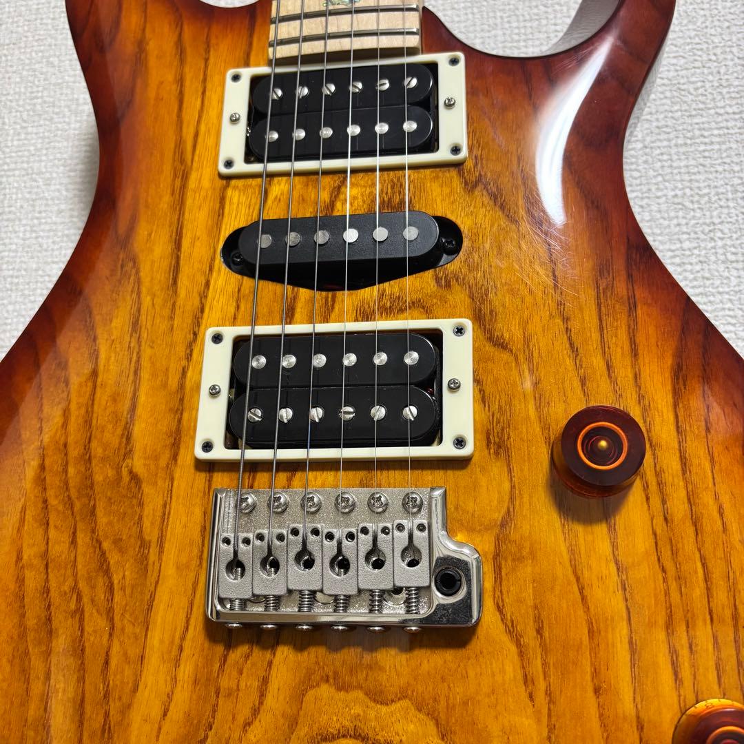 PRS SE Swamp Ash Special 3.5kg良個体2023年製