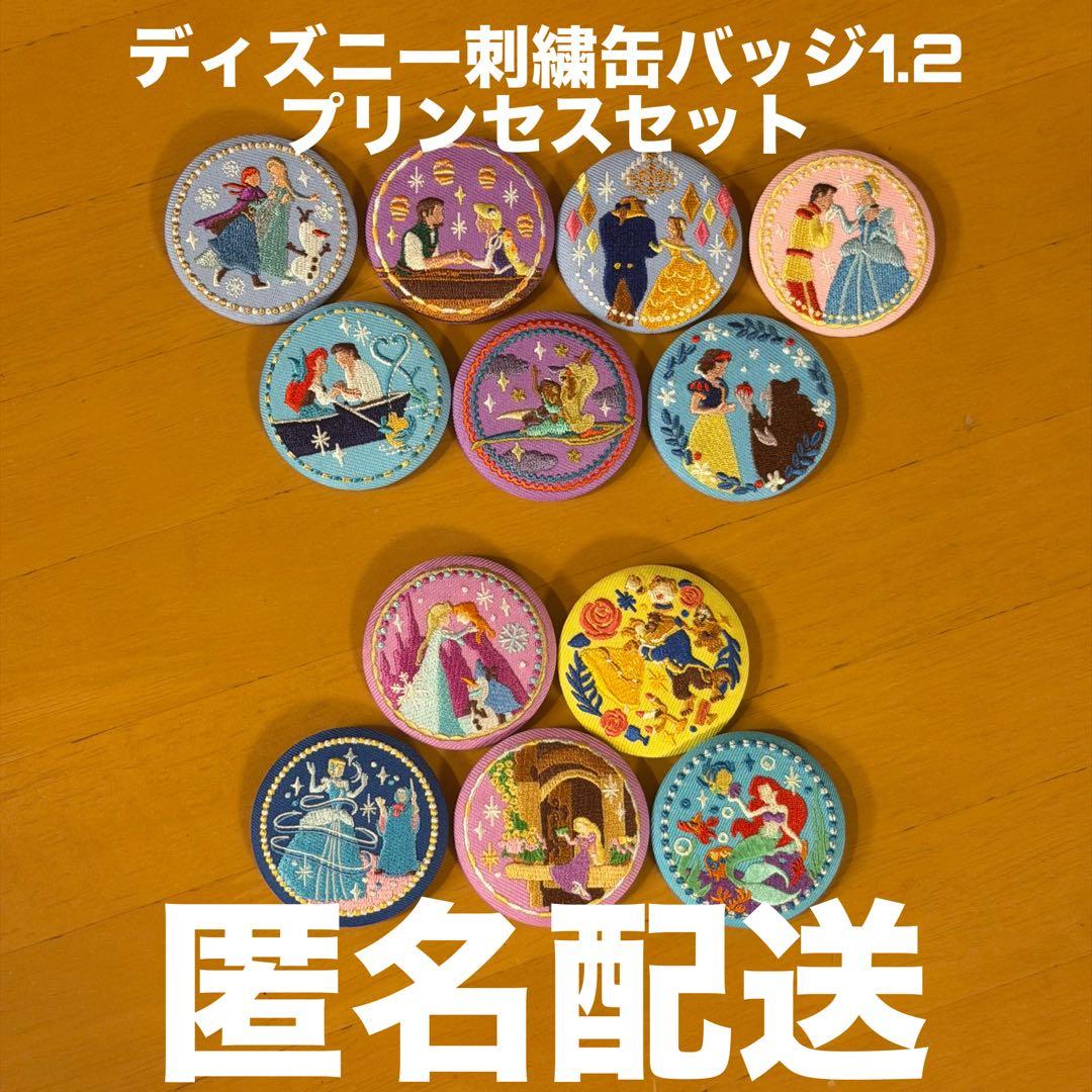 ディズニー刺繍缶バッジ　プリンセスセット