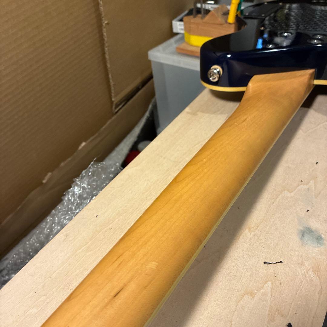 ピグノーズPGG259青