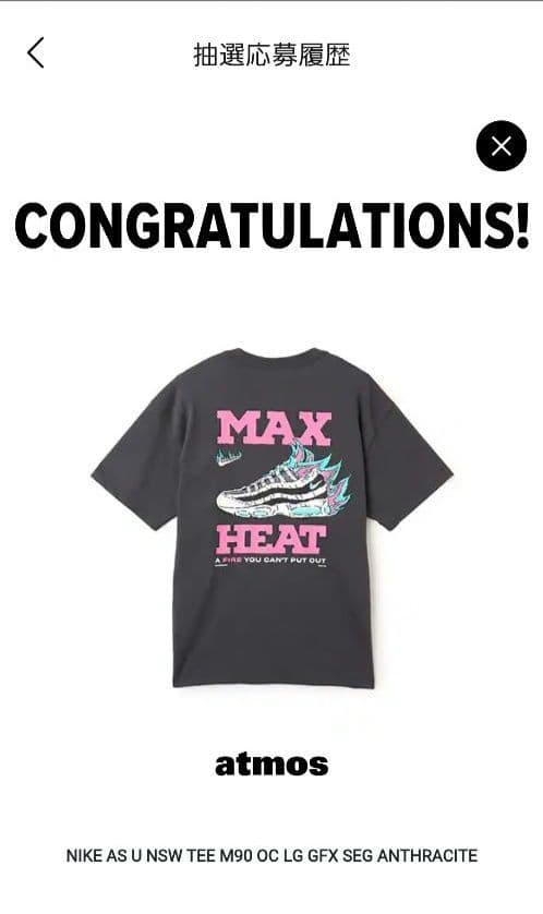 atmos Nike Air Max 95 Tシャツ