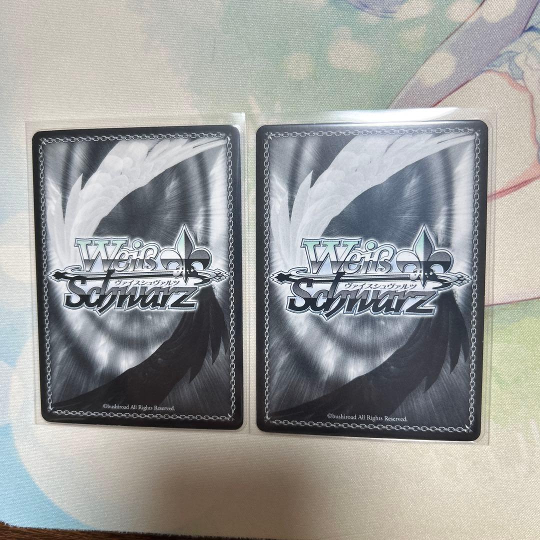 年代記を持つ少女フィーナ　共に生き、共に戦い　フィーナ　sp チェインクロニクル