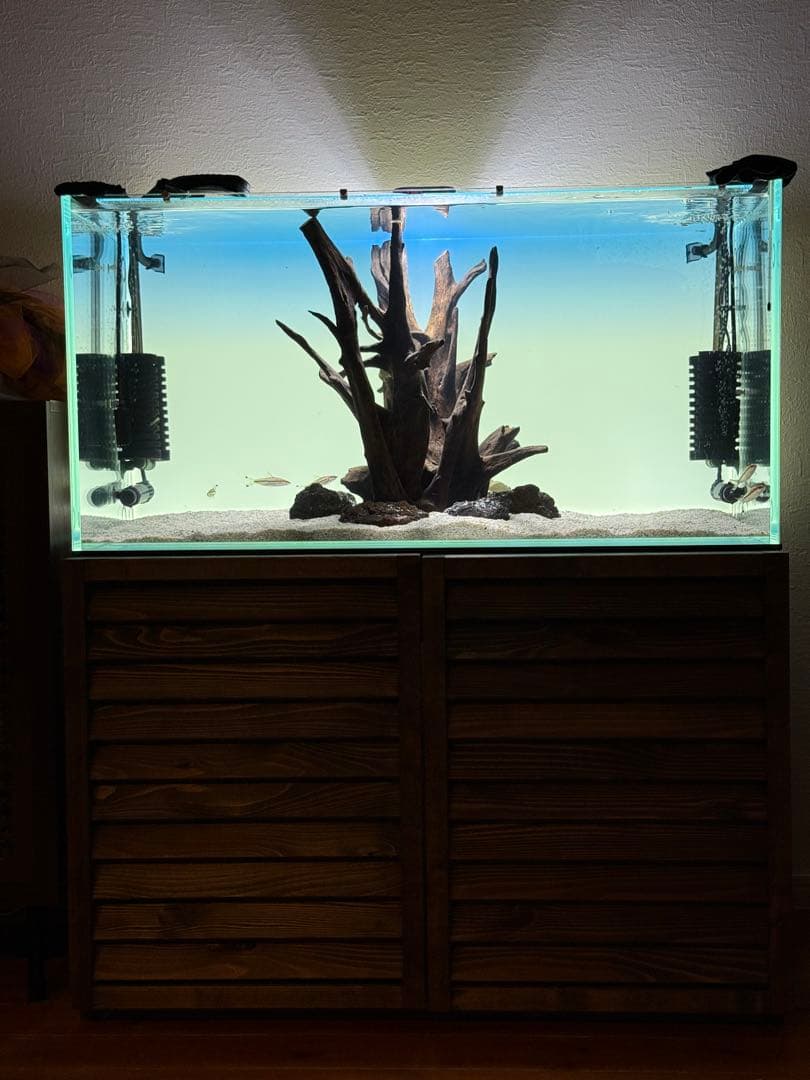 ADA ホーンウッド　2本セット　特大　送料無料