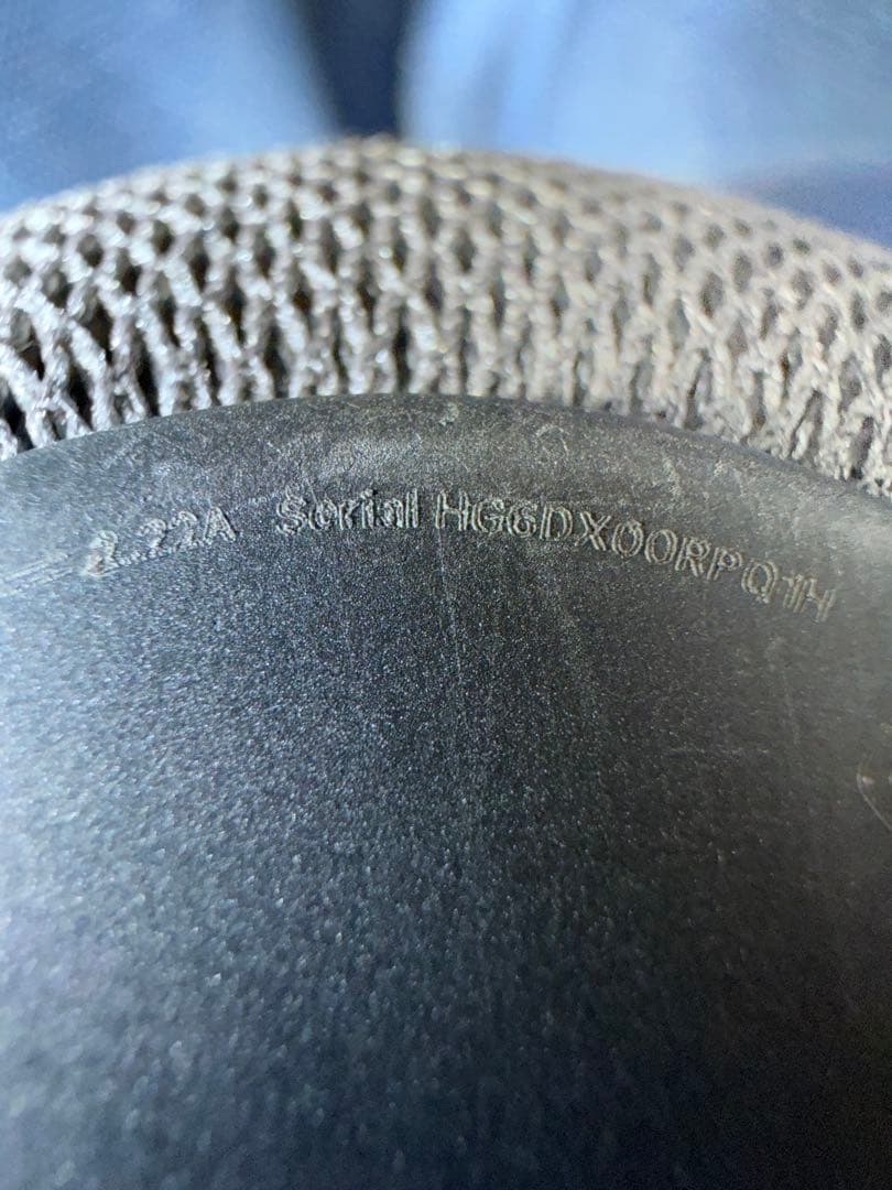 Apple Pod mini 2台セット