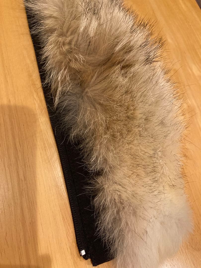 カナダグース   ファーのみ　天然コヨーテ　正規品