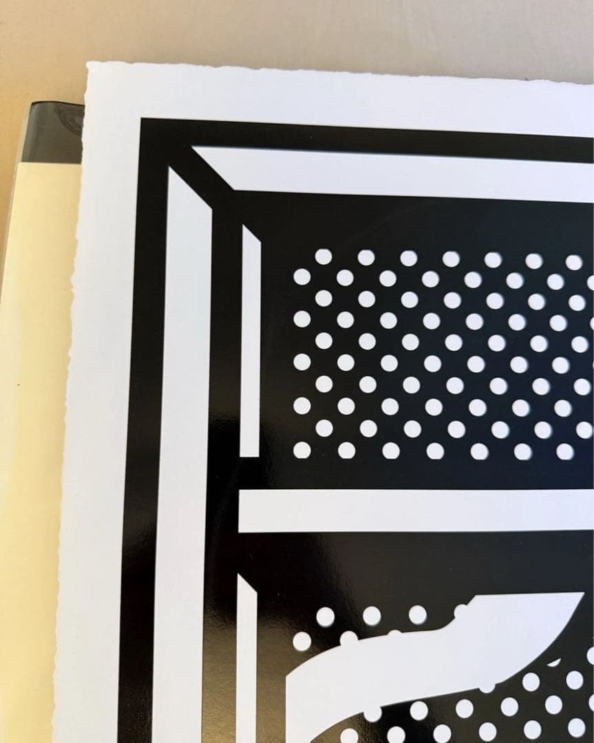 Joshua Vides ジョシュアヴィーダス シルクスクリーン 大判　アート