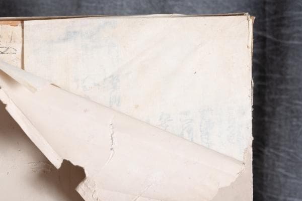 明治26年 ★『明治天皇陛下肖像画』★高精細な肖像画 ！ 約97×64cm