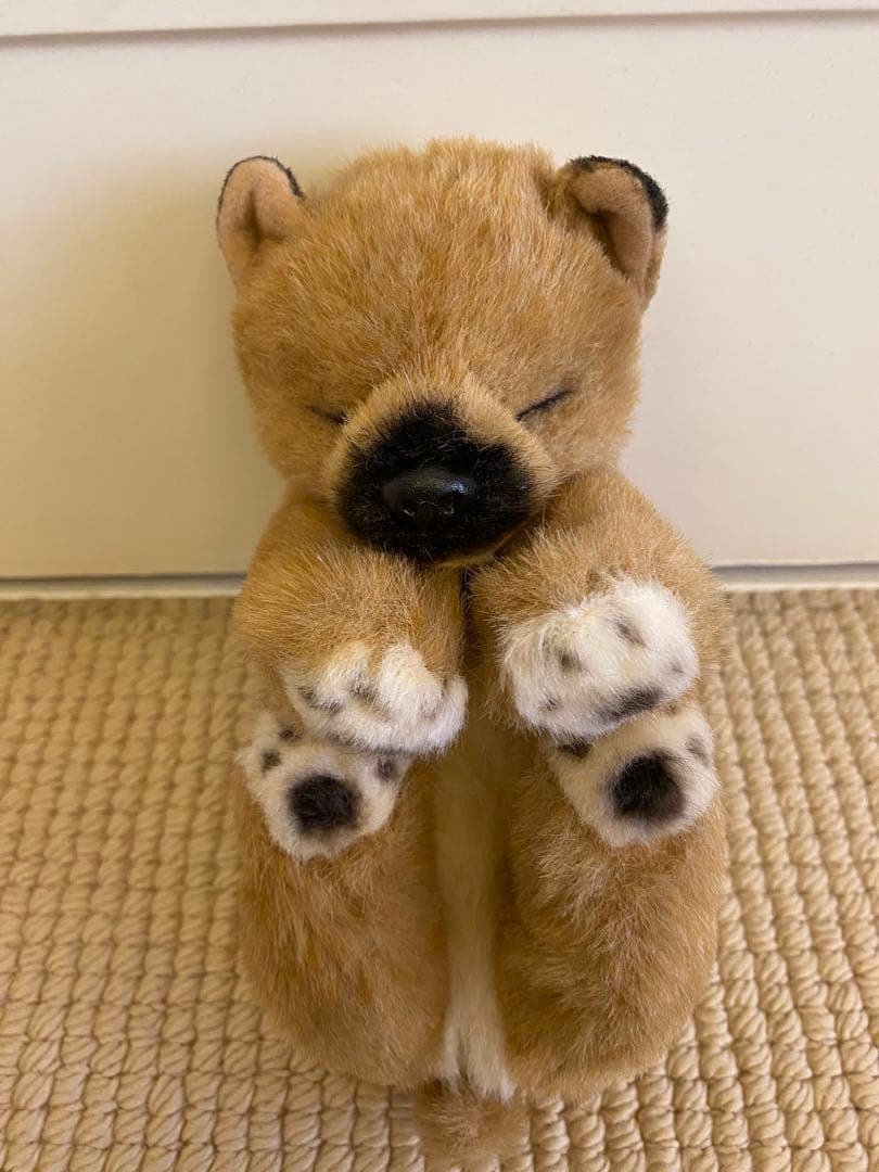 四季オリジナル　柴犬　眠り　ぬいぐるみ　美品