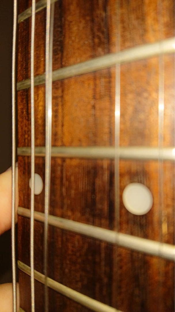 【ふぶ 】Epiphone Firebir