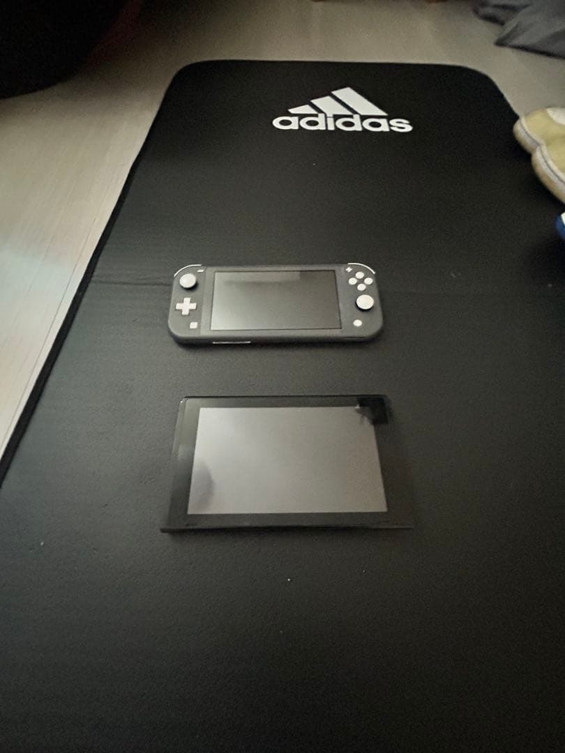 Nintendo Switch Lite & 本体セット