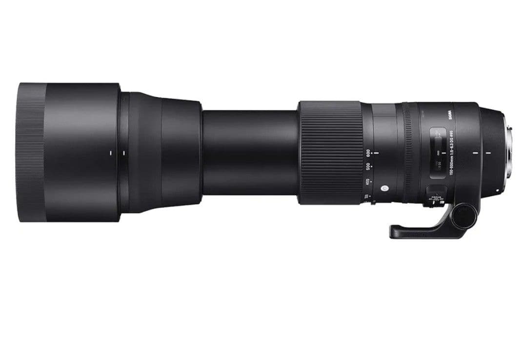 Sigma 150-600mm F5-6.3 DG OS HSM レンズ
