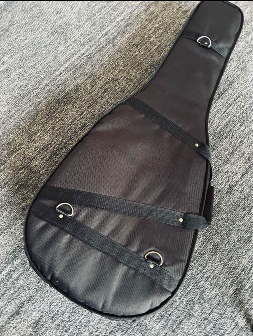 P.U、セミハードケース付き　RECORDINGKING RO-G6 used