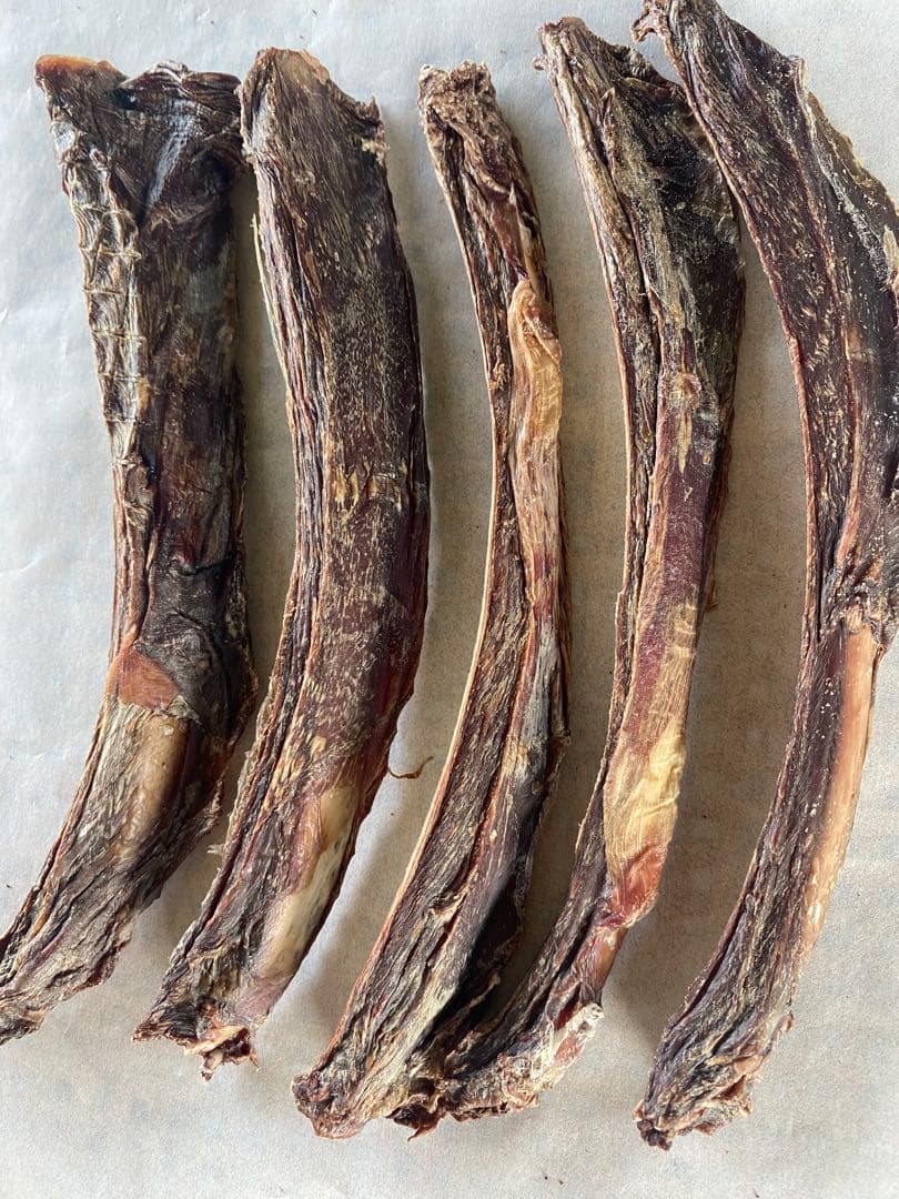 ②鹿 骨と肉。お肉たっぷり♡19cm×100g5本