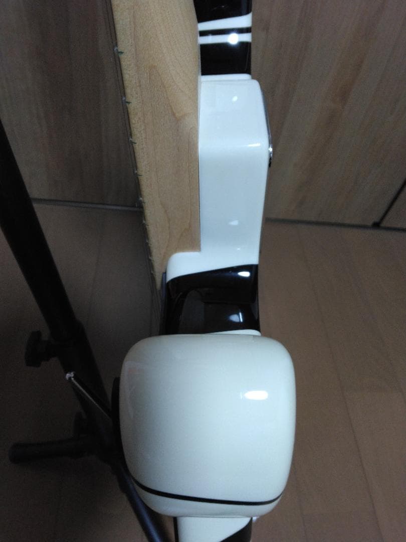 EVH Striped Series 白黒 ＋ 新品Fenderケース