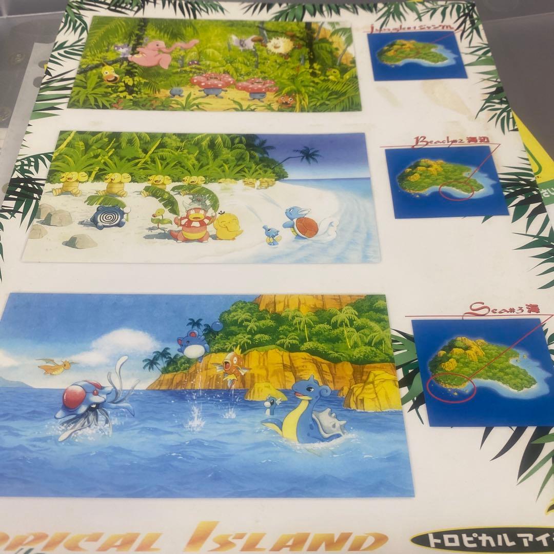 【極希少】カードゲーム トロピカルアイランド & レインボーアイランド